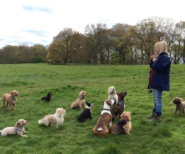 Photo of Nicole with dogs